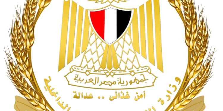 أسعار سلع التموين اليوم في مصر – تحديث ديسمبر 2025