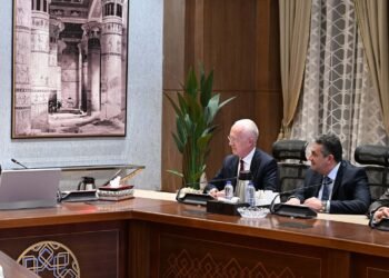 اجتماع رئيس الوزراء مع رئيس مجلس إدارة مجموعة “فيكا” الفرنسية