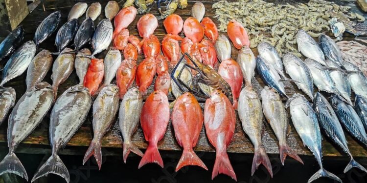 سعر السمك اليوم الجمعة 18 ديسمبر 2025 في سوق العبور .. جملة وتجزئة