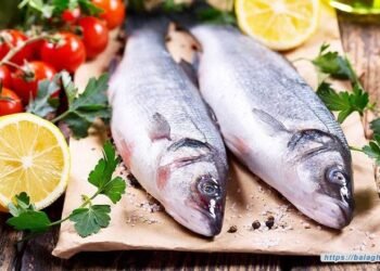 ارتفاعات جديدة في سعر السمك اليوم الثلاثاء 9 ديسمبر 2025