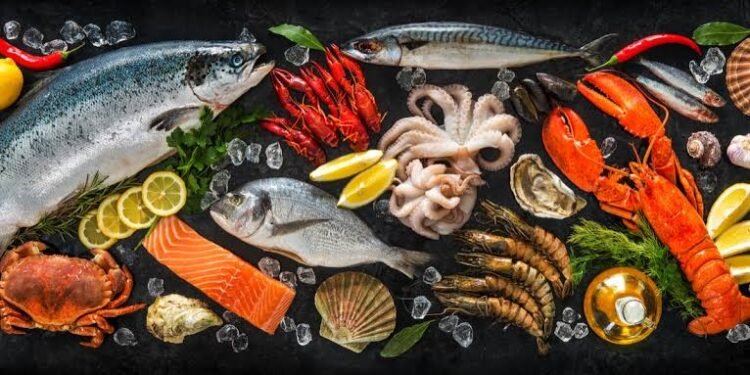 سعر السمك والجمبري اليوم الأحد 7 ديسمبر في السوق