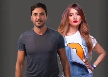 ” باركوا لأبو الولاد “ستوري زينة يفجّر قنبلة.. هل تزوّج أحمد عز سرًا؟