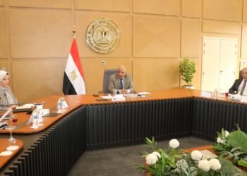 وزير الكهرباء