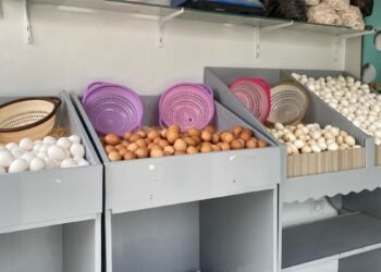 البيض بكام النهارده؟ أرقام جديدة في السوق اليوم السبت 31/1/2026