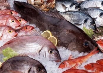 الأسماك على صفيح ساخن.. ارتفاع البياض وتراجع المكرونة بسوق العبور اليوم الجمعة 30/1