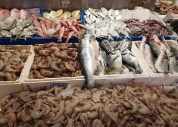 أسعار الأسماك والجمبري في مصر اليوم السبت 17 يناير 2026