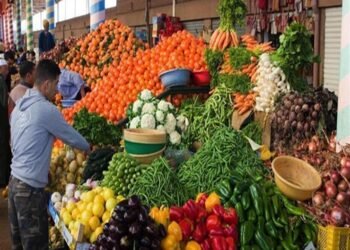 أسعار الخضار في سوق العبور اليوم الأحد 18 يناير 2026
