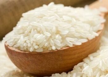 تراجع أسعار الأرز في مصر بنحو 600 جنيه للطن مع ارتفاع المعروض المحلي