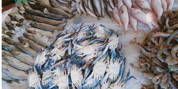 الأسماك تشعل سوق العبور اليوم الأحد 8 فبراير .. ارتفاعات في البياض والجمبري وتراجع الكابوريا