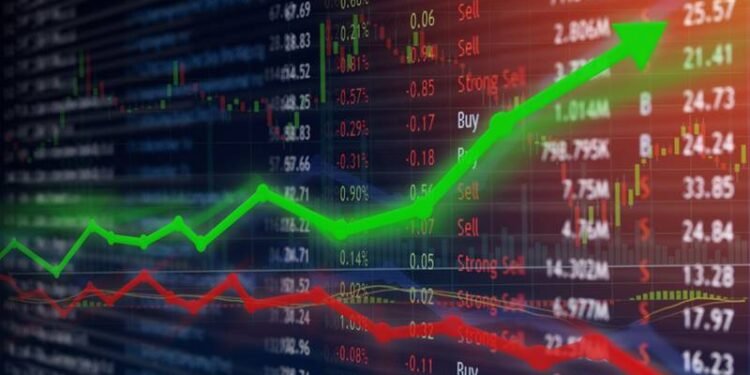 الأسهم أم الشهادات؟ دليل المستثمر الذكي لاختيار الوعاء الأنسب في 2026