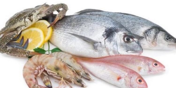 أسعار الأسماك اليوم في سوق العبور الثلاثاء 10 فبراير 2026.. ارتفاع البلطي وتراجع الكابوريا وتباين الجمبري