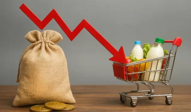 دليل استثمار 2026: كيف تحمي مدخراتك من غول التضخم وتضاعف قيمتها؟