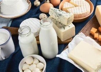 تراجع أسعار منتجات الألبان قبل رمضان واستعدادات مكثفة للمعارض