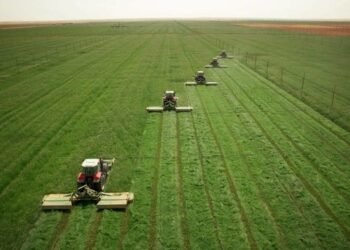 القطاع الزراعي