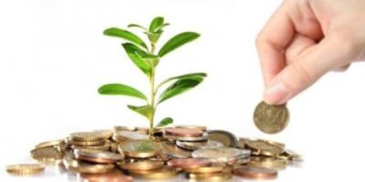 استثمار الاموال