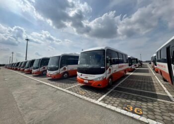 المنصور للسيارات تُصدر 100 حافلة إلى غانا.. أول عملية تصدير من ميناء بور سعيد