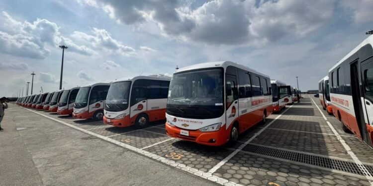 المنصور للسيارات تُصدر 100 حافلة إلى غانا.. أول عملية تصدير من ميناء بور سعيد