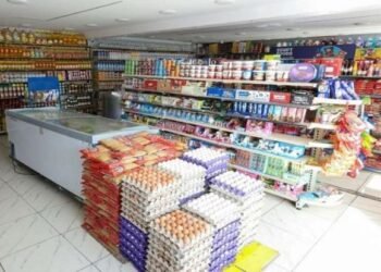 السلع الاساسية