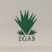 ايجاس للغاز الطبيعي