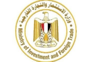 وزارة الاستثمار