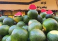 تحذير رسمي من أخطر ترند غذائي.. شائعات البطيخ والبيض تهدد المواطنين