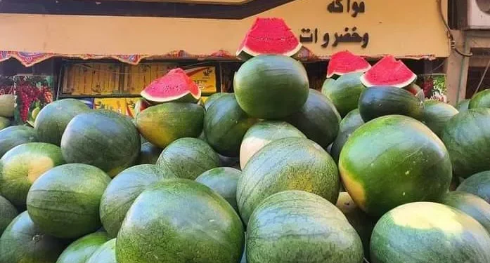 تحذير رسمي من أخطر ترند غذائي.. شائعات البطيخ والبيض تهدد المواطنين