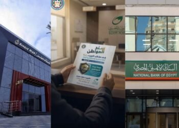 عوائد استثمار 100 ألف جنيه.. سند المواطن أم شهادات البنك الأهلي وبنك مصر