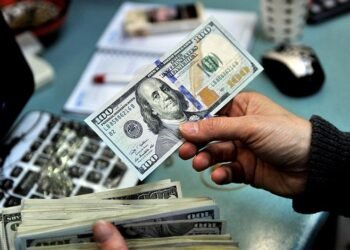 من كوخ صغير إلى 2.3 مليون دولار.. قصة نجاح زوجين حوّلا فكرة بسيطة إلى مشروع مربح