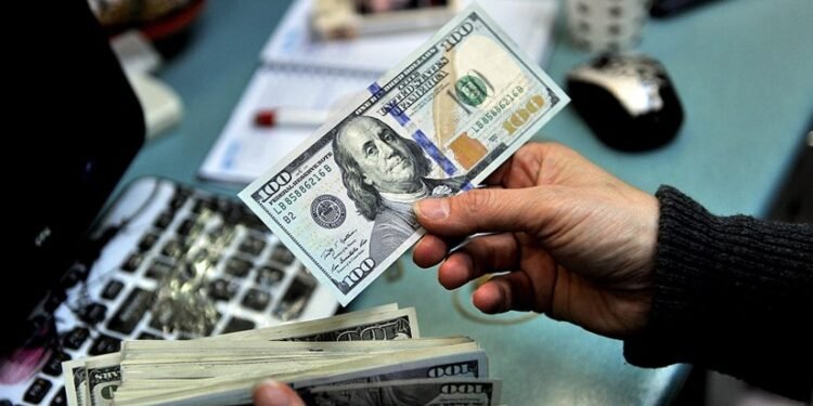 من كوخ صغير إلى 2.3 مليون دولار.. قصة نجاح زوجين حوّلا فكرة بسيطة إلى مشروع مربح