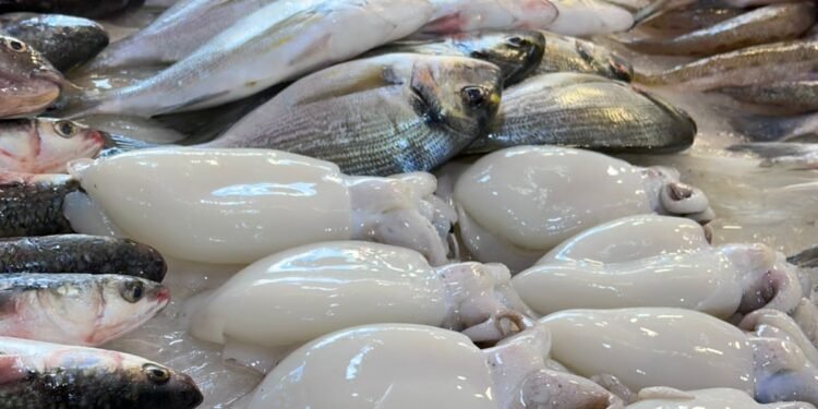 الاسماك والماكولات البحريه