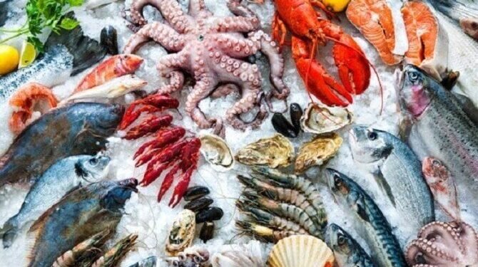 الاسماك والماكولات البحريه