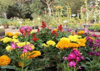 مواعيد معرض زهور الربيع 2026 وأسعار التذاكر وطرق الوصول