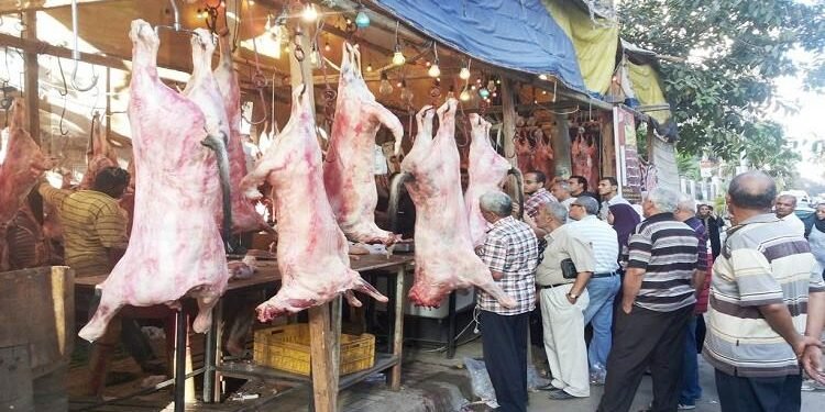 خطة التموين استعدادا لعيد الأضحى.. التوسع في معارض «أهلًا بالعيد» وتخفيضات تصل إلى 25% على السلع