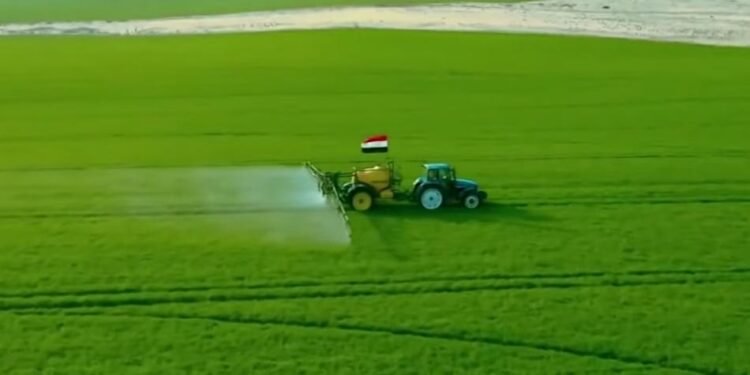 الدلتا الجديدة.. خطوة استراتيجية لتعزيز الأمن الغذائي ودعم الإقتصاد الوطني