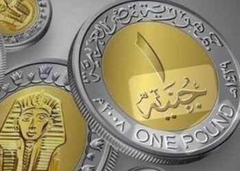 الجنيه الرقمى