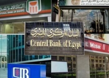 البنوك المصرية