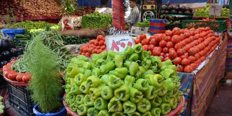 زيادة جديدة في الطماطم والفاصوليا.. أسعار الخضار اليوم الجمعة 15 مايو 2026 في سوق العبور