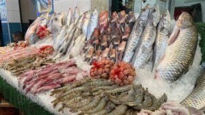 أسعار السمك اليوم