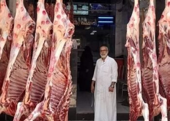 أسعار اللحوم