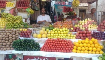 اسعار الفاكهة