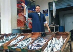 اسعار السمك