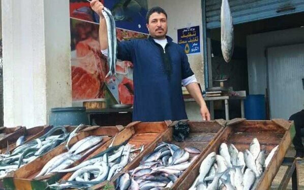 اسعار السمك