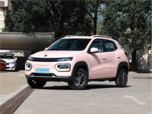دونج فينج بوكس Dongfeng Box