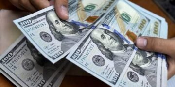 سعر الدولار في مصر