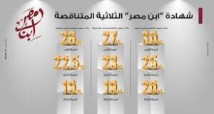 شهادة ابن مصر