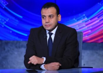الخبير الاقتصادي كريم العمدة
