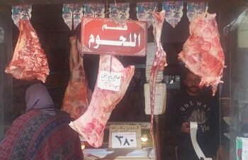 أسعار اللحوم