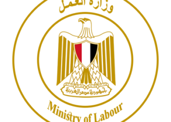 وزارة العمل تعلن عن وظائف شاغرة بمرتبات مجزية.. اعرف التخصصات والمرتبات