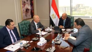 وزير الكهرباء
