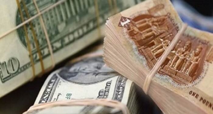 احتياطي النقد الأجنبي المصري يرتفع إلى 53.134 مليار دولار بنهاية مايو 2026